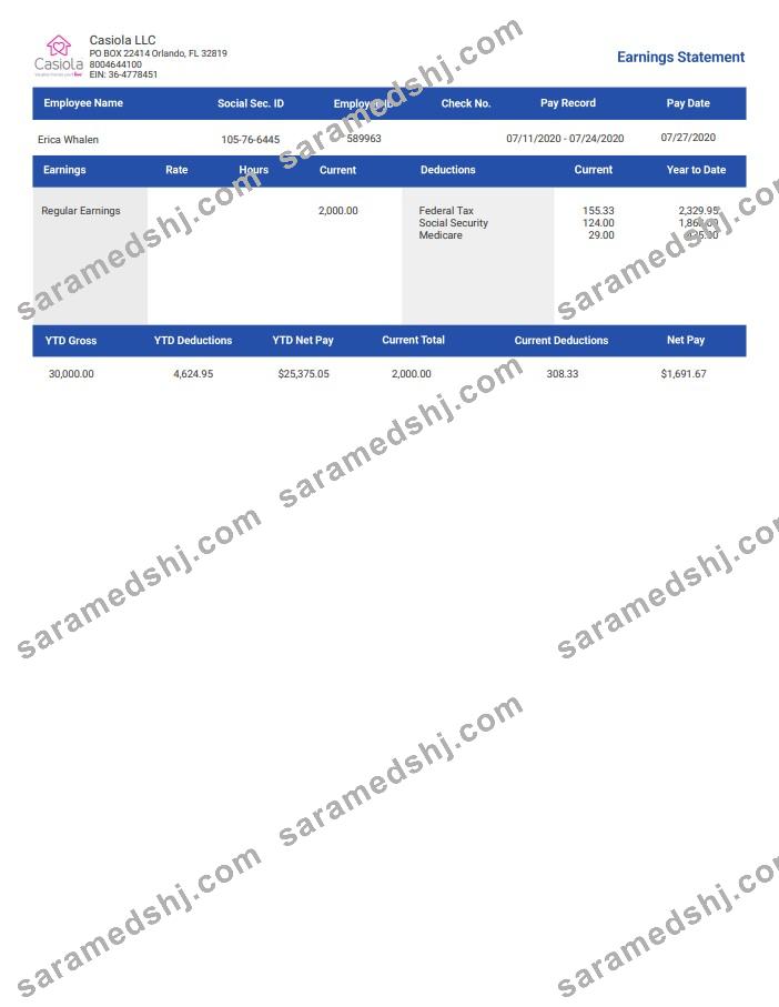 casiola llc earnings Employee Paystub